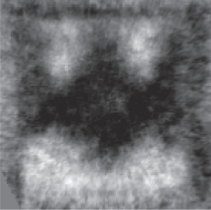 Researchers at PSI spotted a curious black-and-white magnetic substructure on a five-by-five micrometre square &ndash; and were reminded of the stylised Batman logo. The black areas reveal where the magnetisation is pointing downwards, i.e. into the picture; the white ones where it is pointing upwards. 