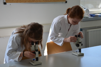 Die Mädchen untersuchen die selber gezüchteten Kristalle am Mikroskop.