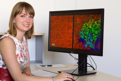 Manuela Göbelt is evaluating SEM-images to calculate the local degree of networking. Photo: Björn Hoffmann.