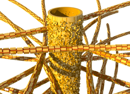 Biostruktur des Dentins: Tubuli und Netz von Kollagenfasern, in denen mineralische Nanopartikel eingebettet sind. Charité &ndash; Universitätsmedizin Berlin