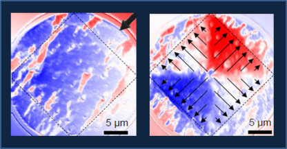 X-PEEM images show the orientation of magnetic domains in the permalloy film overlaid on the superconducting dot (dashed square) before (left image) and after the write process (right image). In this sample the domains (arrows, right image) are reorientied in a monopole pattern. 
