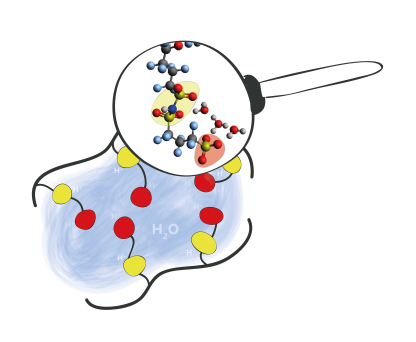 Die  PFIA-Moleküle ordnen sich mit ihrem wasserabweisenden Rückgrat (schwarze Linie) so an, dass die wasserfreundlichen Seitenketten zueinander zeigen und nanometergroße Wasserkanäle bilden: Jede Seitenkette besitzt dabei zwei Andockstellen (gelbe und rote Kreise) für Wasserstoff-Ionen (H+). Diese Andockstellen bestehen aus Säuregruppen, die in der Lupe gezeigt werden.  