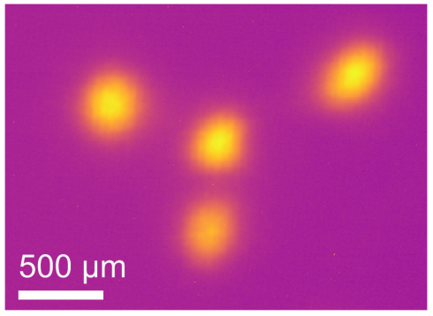 BESSY II: Millionenfach schnellerer Wechsel von zirkular polarisierten Lichtpulsen