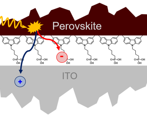 <p>The SAM layer between the perovskite semiconductor and the ITO contact consists of a single layer of organic molecules. The mechanisms by which this SAM layer reduces losses can be quantified by measuring the surface photovoltage and photoluminescence.</p>