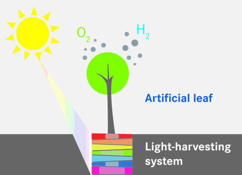 The path to artificial photosynthesis