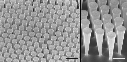 <p>Aufnahmen mit dem Raster-Elektronenmikroskop zeigen, wie regelm&auml;&szlig;ig die in ein Silizium-Substrat einge&auml;tzten Trichter angeordnet sind (links: L&auml;ngenskala 5 Mikrometer, rechts: 1 Mikrometer). Die Trichter messen oben im Durchmesser noch rund 800 Nanometer und laufen unten auf etwa hundert Nanometer spitz zu. </p>