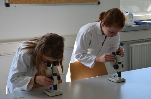 Raus aus der Schule, rein ins Labor: 90 Schülerinnen beim Girls'Day am Helmholtz-Zentrum Berlin 