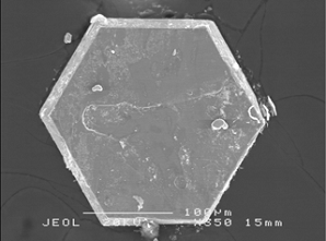 <p>Der Durchmesser der hexagonalen Einkristalle aus SrCo<sub>6</sub>O<sub>11</sub> misst h&ouml;chstens 0,2 Millimeter.</p>