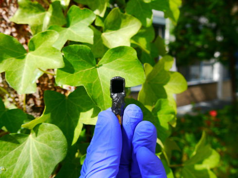 Hydrogen from sunlight: new efficiency record for artificial photosynthesis