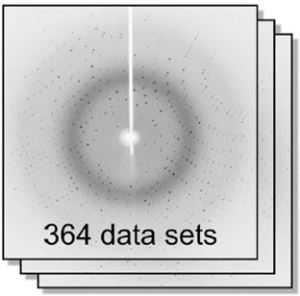 <p>The newly developed expert system was used to analyse 364 data sets of a specidfic protein crystal, soaked in different fragments.</p>