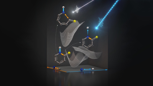 Proton transfer: Researcher find mecanism to protect biomolecules against light induced damage