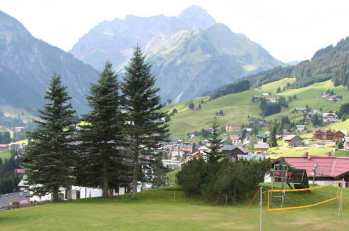 <p>Learning about solar fuels and photovoltaics goes green. The summerschool takes place from 3. to 10. september 2017 in the idyllic Kleinwalsertal, Austria. </p>