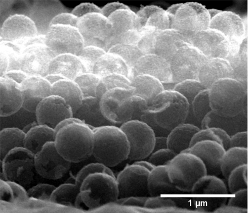 Nanodiamanten als Photokatalysatoren