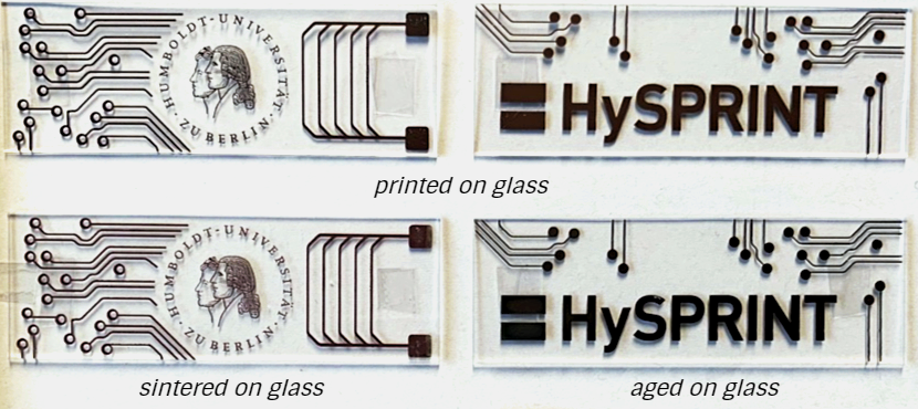 Joint lab 4 - enlarged view