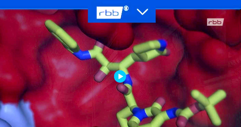 Vporschaubild fr das rbb Video 'Wirksstoff-Forschung an BESSY II'